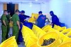 Công an Bạc Liêu phát hiện 750kg tôm chứa tạp chất trong kho lạnh một công ty