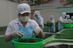 Khánh Hòa: Tham gia nhiều sản phẩm công nghiệp nông thôn tiêu biểu