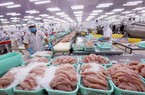 Mỹ, Trung Quốc đổ xô mua lượng lớn, Việt Nam sẽ thu 11 tỷ USD nhờ bán các loại cá, tôm?