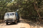 Tây Ninh: Khẩn trương hoàn thiện cơ sở dữ liệu đất đai