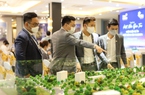 Cấm doanh nghiệp bảo hiểm kinh doanh bất động sản là đúng nhưng nên cho phép đầu tư bất động sản