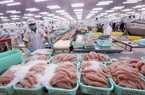 Mỹ, Trung Quốc đột ngột tăng mua, giá một loài cá của Việt Nam cao nhất trong 3 năm 