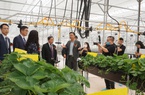 Trang trại thông minh Hàn Quốc tài trợ cho Viện Khoa học Nông nghiệp Việt Nam thông minh như thế nào?