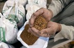 Tổng thống Putin phản ứng trước những cáo buộc về nạn đói toàn cầu