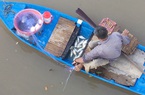 Dùng chùm bông lúa non ngậm sữa dụ bắt cá mè vinh bách phát bách trúng ở Kiên Giang