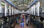 

Nhiều dư địa để tiếp tục phát triển ngành hàng sữa