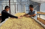 Làm giàu nhờ nhạy bén trong tư duy sản xuất