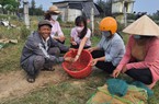 Quảng Nam: Có vốn ưu đãi tiếp sức, nông dân Hội An khấm khá nhờ nuôi tôm 