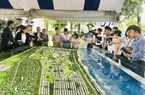Thị trường bất động sản gặp khó, người dân vẫn tìm cơ hội mua nhà