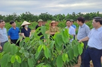 Hội Nông dân Quảng Ninh tổ chức hội nghị liên kết “6 nhà” về sản xuất, tiêu thụ na Đông Triều