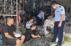 Thu giữ hàng nghìn sản phẩm vi phạm chỉ ở 1 cửa hàng tại Thái Nguyên