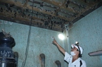 Nuôi loài chim tiền tỷ, nông dân "thủ phủ hồ tiêu" Gia Lai lại có tiền mua xe hơi, xây nhà lầu