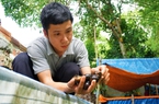 Bỏ phố về quê nuôi con đặc sản đồng quê, chàng kỹ sư Quảng Nam ban đầu bị chê, sau nhiều người lại mê tít