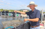 Mô hình nuôi tôm công nghệ cao tiền tỷ ở Quảng Bình, tỷ lệ tôm sống đạt tới 90%