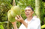 Vùng đất trù phú ở Lâm Đồng thơm ngào ngạt mùi sầu riêng, muốn gặp tỷ phú cứ đi vô vườn