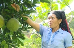 Nông dân vùng cao sản xuất nông nghiệp thuận theo tự nhiên
