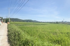 Quảng Ngãi: Gỡ nút thắt chuyển đất lúa cho doanh nghiệp để làm khu đô thị 883 tỷ 