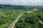 Sẽ có trên 1.000ha rừng được trồng thay thế diện tích chuyển đổi để xây dựng cao tốc Bắc - Nam phía Đông