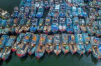 Hơn 50% số tàu cá của ngư dân Đà Nẵng không thể ra khơi vì giá xăng dầu tăng quá cao