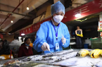 Trung Quốc xóa bỏ một chính sách liên quan đến thực phẩm nhập khẩu, cơ hội cho thủy sản Việt Nam 