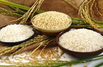 Gạo 5% tấm xuất khẩu của Việt Nam đang có mức giá cao 
