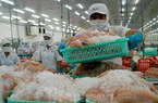 Anh nhập khẩu cá tra Việt Nam tăng 6 lần
