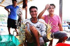 Trung Quốc đột nhiên tăng mua loài tôm khổng lồ của Việt Nam, mua tăng gấp 29 lần năm ngoái