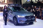 Ôtô nhập khẩu giảm mạnh trong tháng 6