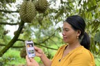 Nữ tỷ phú trồng sầu riêng ở Đắk Lắk được bình chọn là Nông dân Việt Nam xuất sắc 2022
