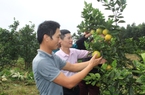 Chặng đường 20 năm giúp dân giảm nghèo tại huyện Hương Sơn của Ngân hàng Chính sách xã hội