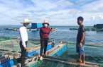 "Bật mí": Phía sau những nông dân "triệu phú" tại huyện đảo Lý Sơn