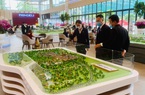 Thị trường nhà ở TP.HCM tiếp tục "gặp khó" 