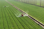 Trung Quốc vừa có một quyết định quan trọng với cây trồng biến đổi gen