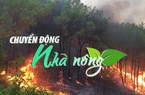 Chuyển động Nhà nông 28/7: Cảnh báo cháy rừng đến cấp cực kỳ nguy hiểm tại Nghệ An