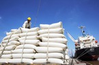 Xuất khẩu gạo, tiêu, cà phê của Việt Nam sang châu Âu tăng mạnh