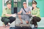 TT-Huế: Hàng chục cơ sở dịch vụ ăn uống cam kết chung tay bảo tồn động vật hoang dã 