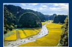 Nhiều hoạt động đặc sắc chưa từng có mừng năm Du lịch Quốc gia Quảng Nam 2022
