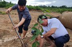 Phú Quốc phát động toàn dân trồng rừng trên 40 ha diện tích đất vi phạm đã thu hồi
