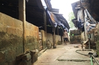 Người chăn nuôi bỏ chuồng vì gánh nặng chi phí: Chuồng trại tan hoang ở "thủ phủ" chăn nuôi lợn miền Bắc (Bài 3)