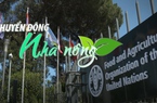 Chuyển động Nhà nông 9/7: Giá lương thực toàn cầu giảm tháng thứ ba liên tiếp
