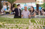 HoREA: Dự thảo Luật Đất đai "đồ sộ" với 237 Điều nhưng thời gian góp ý trong 6 ngày là quá ngắn