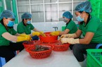 HTX phát triển sản xuất kết hợp với du lịch đẩy mạnh quảng bá đặc sản Cần Giờ  