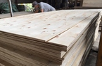Mỹ ra thông báo mới nhất về điều tra lẩn tránh phòng vệ thương mại với gỗ dán Việt