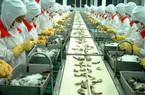 Top tỉnh thành xuất khẩu tôm: Cà Mau tiếp tục giữ "ngôi vương" chiếm 23% kim ngạch, dự báo “nóng” về sản lượng tôm nuôi