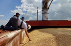 Con tàu đầu tiên chở ngũ cốc đến châu Phi cập cảng Ukraine