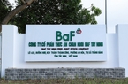 Nông nghiệp BaF (BAF) mua lại một công ty chăn nuôi lợn ở Tây Ninh