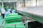 Đưa công nghệ vào sản xuất, làng nghề bánh tráng Phú Hòa Đông hướng đến xuất khẩu