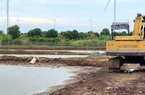 Giá thức ăn cho tôm tăng không hồi kết, nuôi không đạt tỷ lệ sống 80% trở lên là nông dân lỗ nặng