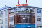 Angimex (AGM) tăng tỷ lệ sở hữu tại công ty con khi nhận chuyển nhượng 19% vốn từ Louis Capital 