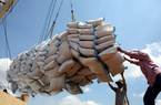 Giao dịch chậm, giá gạo xuất khẩu khó tăng như mong muốn